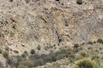 Grupo Mineralógico de Alicante. Cabezo Negro. Zeneta. Murcia