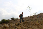 Grupo Mineralógico de Alicante. Cabezo Negro de Zeneta. Zeneta. Murcia