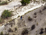 Grupo Mineralógico de Alicante. Ulea. Murcia