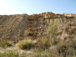 Grupo Mineralógico de Alicante. Cantera de los Morteros. Aspe. Alicante