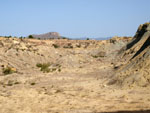 Grupo Mineralógico de Alicante. Cantera de los Morteros. Aspe. Alicante