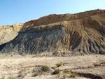 Grupo Mineralógico de Alicante. Cantera de los Morteros. Aspe. Alicante