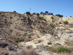 Grupo Mineralógico de Alicante. Cantera de los Morteros. Aspe. Alicante