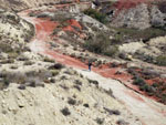 Grupo Mineralógico de Alicante. Cantera de los Morteros. Aspe. Alicante