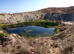 Grupo Mineralógico de Alicante. Cantera de los Morteros. Aspe. Alicante