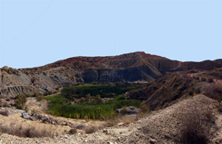 Grupo Mineralógico de Alicante. Cantera de los Morteros. Aspe. Alicante