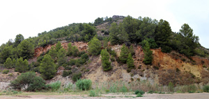 Grupo Mineralógico de Alicante. Canteras de Arcilla. Cami de les Mines. Oliva. Valencia  Alicante