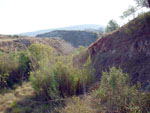 Grupo Mineralógico de Alicante.Zona  del Trias. Chella. Valencia