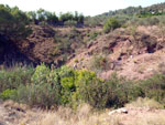 Grupo Mineralógico de Alicante.Zona  del Trias. Chella. Valencia