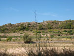 Grupo Mineralógico de Alicante.Zona  del Trias. Chella. Valencia