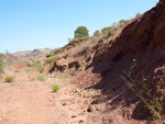 Grupo Mineralógico de Alicante.Zona  del Trias. Chella. Valencia