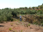 Grupo Mineralógico de Alicante.Zona  del Trias. Chella. Valencia