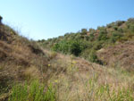 Grupo Mineralógico de Alicante.Zona  del Trias. Chella. Valencia