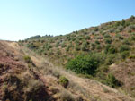 Grupo Mineralógico de Alicante.Zona  del Trias. Chella. Valencia