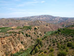 Grupo Mineralógico de Alicante.Zona  del Trias. Chella. Valencia