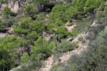 Grupo Mineralógico de Alicante.Las Minicas. Zarzadilla de Totana. Murcia.