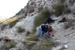 Grupo Mineralógico de Alicante. Galera. Granada