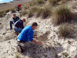 Grupo Mineralógico de Alicante. Galera. Granada