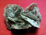 Grupo Mineralógico de Alicante.Rosa de Yesos, Galera. Granada