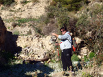 Grupo Mineralógico de Alicante. Explotación de Porfidos. Sierra de Oltra. Calpe. Alicante  