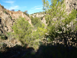 Grupo Mineralógico de Alicante. Explotación de Porfidos. Sierra de Oltra. Calpe. Alicante  