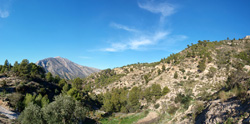 Grupo Mineralógico de Alicante. Explotación de Porfidos. Sierra de Oltra. Calpe. Alicante  