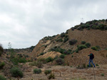 Grupo Mineralógico de Alicante. Cabezo Negro. Zeneta. Alicante  