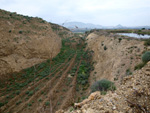 Grupo Mineralógico de Alicante. Cabezo Negro. Zeneta. Alicante  