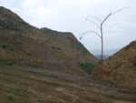 Grupo Mineralógico de Alicante. Cabezo Negro. Zeneta. Alicante  