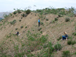 Grupo Mineralógico de Alicante. Cabezo Negro. Zeneta. Alicante  