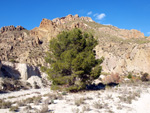 Grupo Mineralógico de Alicante.  Ópalo con Dendritas. Ojos. Murcia  