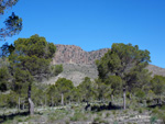 Grupo Mineralógico de Alicante. Pitón Volánico de Cancarix y Embalse de Camarillas. Hellín. Albacete   