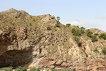 Grupo Mineralógico de Alicante.  Ópalo con Dendritas.Paraje Piedra Negra. Jijona Alicante. 