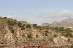 Grupo Mineralógico de Alicante.  Ópalo con Dendritas.Paraje Piedra Negra. Jijona Alicante. 