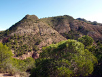 Grupo Mineralógico de Alicante.   Sierra de Albatera. Hondón de los Frailes. Alicante   