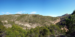 Grupo Mineralógico de Alicante. Barranco del Mulo. Sierra de Albatera. Hondón de los Frailes. Alicante  