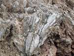 Grupo Mineralógico de Alicante.   Antiguas explotaciones de yesos del Mesiniense en Benejuzar. Alicante  