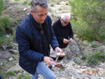 Grupo Mineralógico de Alicante.Antiguas explotaciones de yesos del Mesiniense en Benejuzar. Alicante  