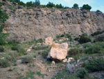 Grupo Mineralógico de Alicante. Antiguas explotaciones de yesos del Mesiniense en Benejuzar. Alicante    
