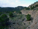 Grupo Mineralógico de Alicante. Antiguas explotaciones de yesos del Mesiniense en Benejuzar. Alicante  