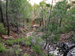 Grupo Mineralógico de Alicante. Reales Fábricas de Alcaraz. Riopar. Albacete  