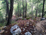 Grupo Mineralógico de Alicante. Reales Fábricas de Alcaraz. Riopar. Albacete  