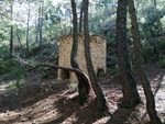 Grupo Mineralógico de Alicante. Reales Fábricas de Alcaraz. Riopar. Albacete  