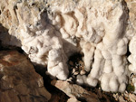 Grupo Mineralógico de Alicante.La cantera es la antigua del trasvase Tajo-Segura,Peñas de San Pedro, Albacete     