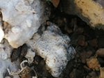 Grupo Mineralógico de Alicante.La cantera es la antigua del trasvase Tajo-Segura,Peñas de San Pedro, Albacete     