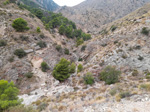 Grupo Mineralógico de Alicante.Sierra de Crevillente. Crevillente. Alicante     