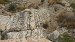 Grupo Mineralógico de Alicante.Sierra de Crevillente. Crevillente. Alicante     