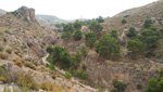 Grupo Mineralógico de Alicante.Sierra de Crevillente. Crevillente. Alicante     