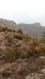 Grupo Mineralógico de Alicante.Sierra de Crevillente. Crevillente. Alicante     
