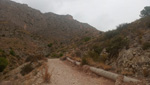 Grupo Mineralógico de Alicante.Sierra de Crevillente. Crevillente. Alicante     